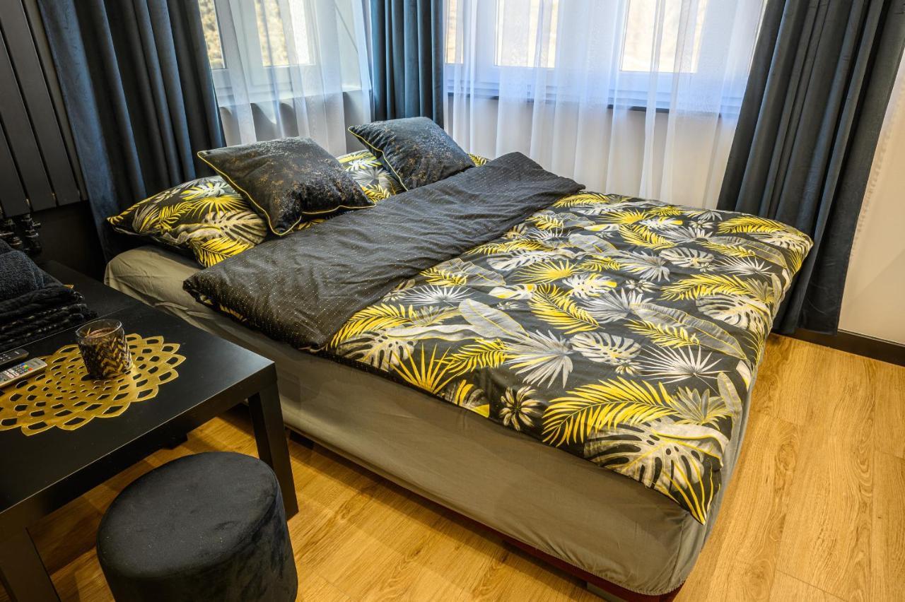 Karpatti Apartment Karpacz